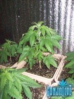 100_2222.JPG
