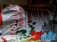 IMG_20130628_134057.jpg