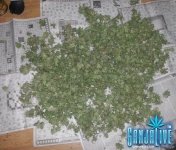 20130626_131853 - копия.jpg