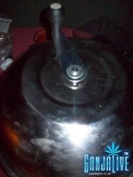 100_2287.JPG