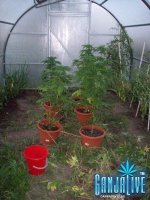 100_2298.JPG
