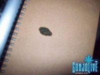 100_2299.JPG