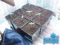 100_2305.JPG
