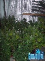 100_2310.JPG