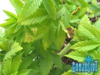 IMG_01061.JPG