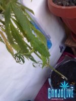 19082013053.jpg