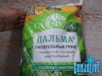 DSCF0521.JPG