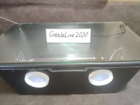 IMG_20201127_090142.jpg
