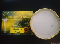 Семка -1 день.jpg