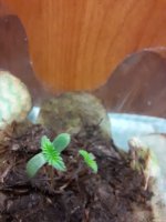 20201127_160730.jpg