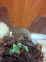 20201127_160727.jpg