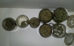 post49pic1.jpg