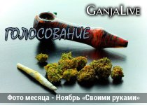 и-руками-31.jpg и-руками-31.jpg