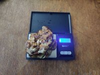 гигант склера.jpg