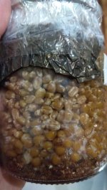 IMG_20201204_074714.jpg