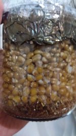 IMG_20201204_074722.jpg