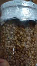 IMG_20201204_075004.jpg