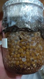 IMG_20201204_075058.jpg