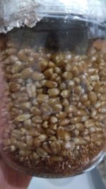 IMG_20201204_075136.jpg