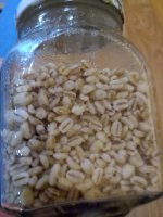 IMG_20201204_164258.jpg