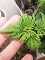 photo_2020-12-06_01-57-09 (2).jpg