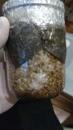 IMG_20201206_082501.jpg