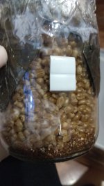 IMG_20201206_082509.jpg