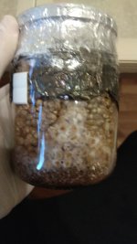 IMG_20201206_083007.jpg