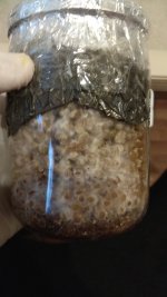 IMG_20201206_083014.jpg