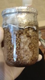 IMG_20201206_083314.jpg