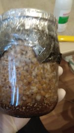 IMG_20201206_083454.jpg