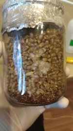 IMG_20201206_083524.jpg