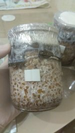 IMG_20201210_225449.jpg