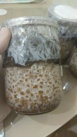 IMG_20201210_225452.jpg