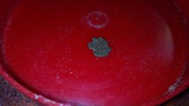 IMG_20201203_221819.jpg