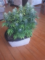 20201213_095008.jpg