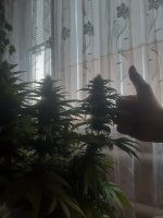 20201213_100405.jpg