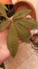 20201213_170056.jpg