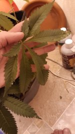 20201213_170144.jpg