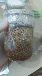 IMG_20201210_225505.jpg
