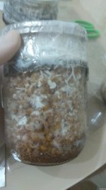 IMG_20201210_225510.jpg