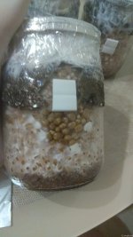 IMG_20201210_225524.jpg