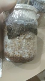 IMG_20201210_225529.jpg