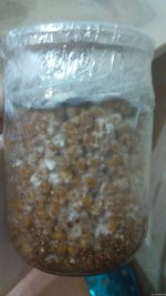 IMG_20201210_231618.jpg