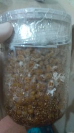 IMG_20201210_231626.jpg