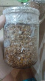 IMG_20201210_231634.jpg