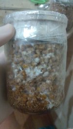 IMG_20201210_231638.jpg