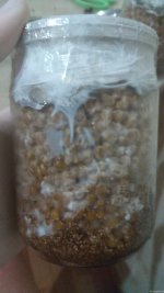 IMG_20201210_231642.jpg