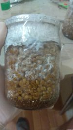 IMG_20201210_231649.jpg