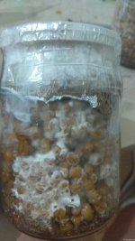 IMG_20201210_231658.jpg
